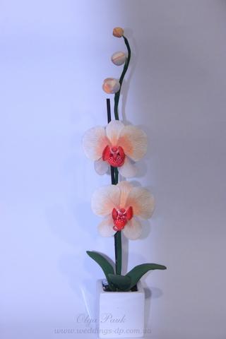 Красивые и оригинальные идеи орхидей из полимерной глины